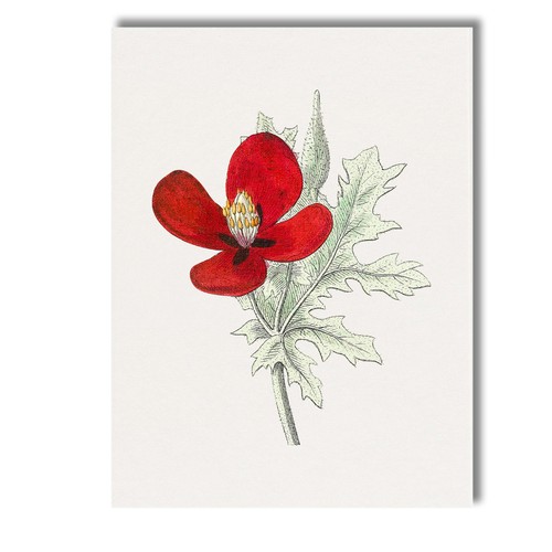 Canvas wall art decor - decor, picture