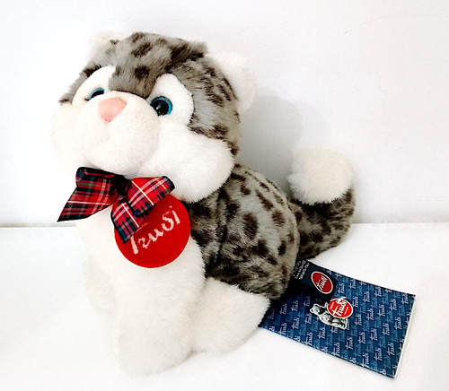 Kitty cat tiger - kitty,