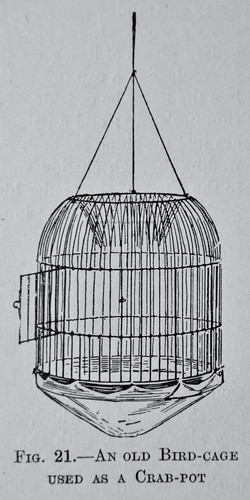 Old bird cage - as, a