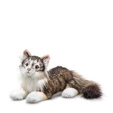 Lesley Anne Ivory Agneatha Cat