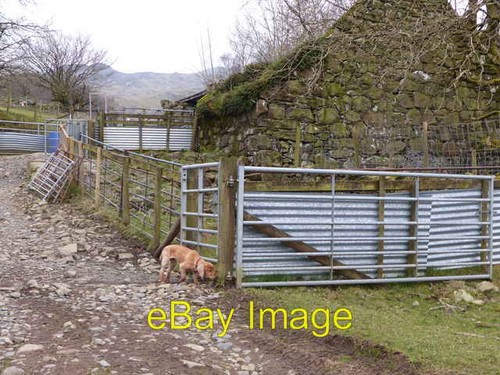 Photo 6x4 stable building - photo,