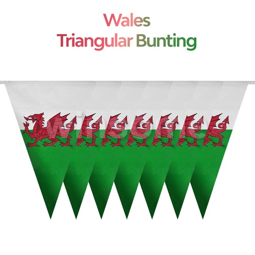 33ft 10m wales - wales, dragon