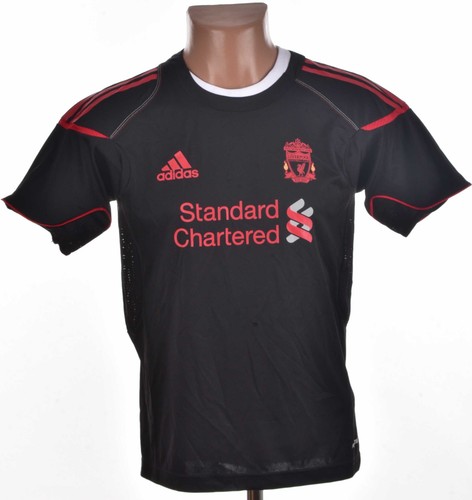 Liverpool 2010 2011 training - 2010/2011,