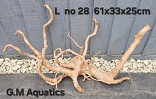 Red moor / Azalea wood L No 28  61x33x25cm