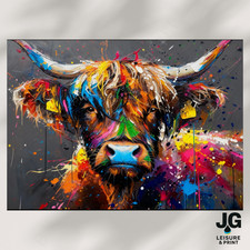 Highland cow picture - highland,