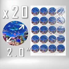 Coral Reef Shark Fish Tropical