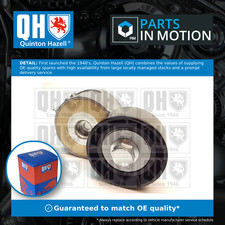 Aux Belt Tensioner fits