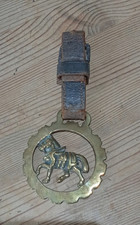 3 1/2 inch horse brass on