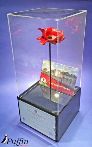 Poppy display cases - display, (displayed