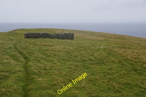 Photo 6x4 sheep - sheep, on