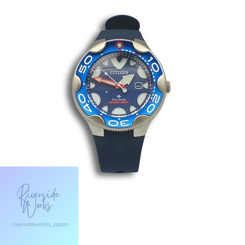 Citizen promaster watch - promaster,