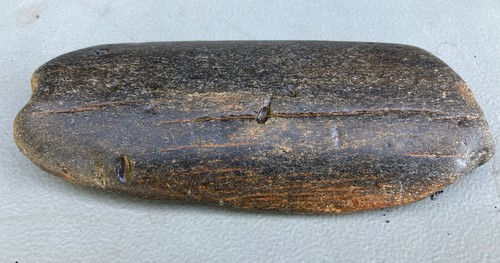 Fossilised whale bone - bone, with