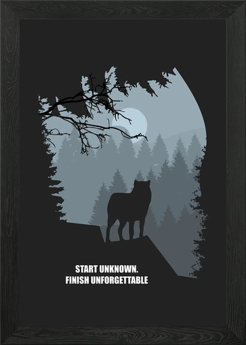 Animal and quote framed - 6,