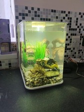 Biorb 15L whiteAll-in-One Filter LED Aquarium