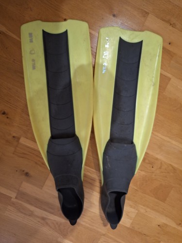 Diving pool fins - pool, 2