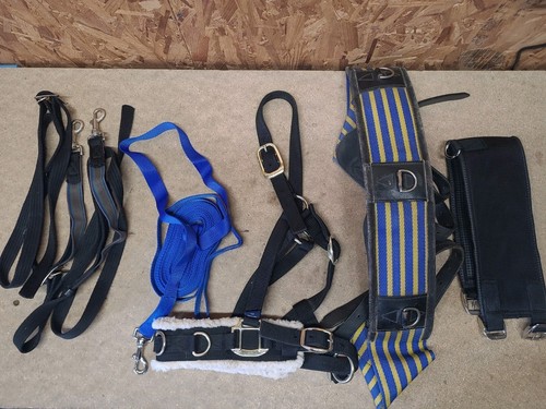 Lunging joblot full - lunging, size