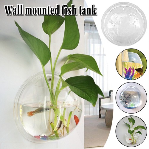 Wall mounted acrylic - wall, fish