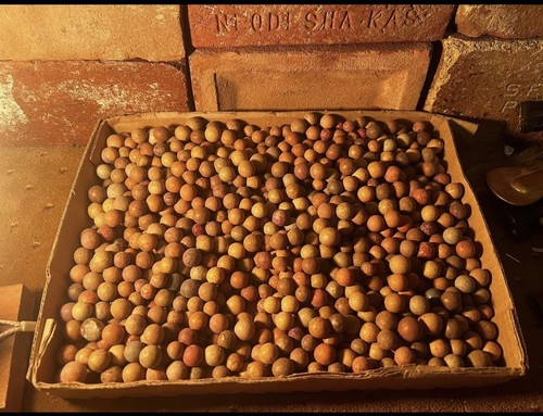 1700s 1800s clay - marbles, 10