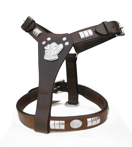 Dog leather harness - dog,