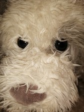 Haunted doll, Fairy dog