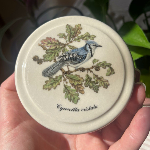 Vintage patum peperium - vintage,