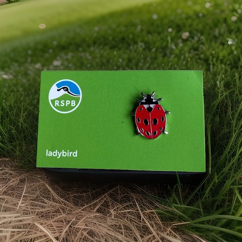 Rspb pin badge ladybird on - ladybird,