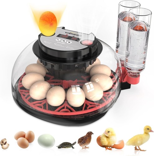 Incubator for hatching - incubator,