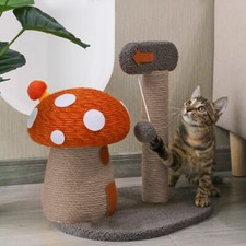 Funny Mushroom Cat Scratching