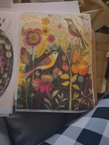 Vtg bird print parchment - on,