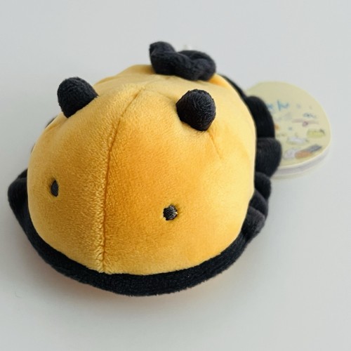 Umiushi orange sea slug - sea,