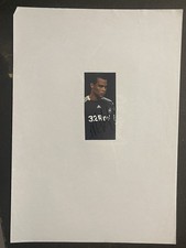 Michel Vorm- Swansea City Fc Signed Picture