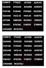 MODEL BUS WATERSLIDE TRANSFERS