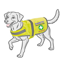Diabetic Assistance Dog Hi