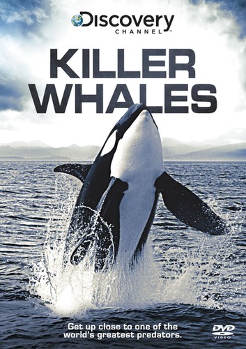 Discovery channel killer - discovery, channel: