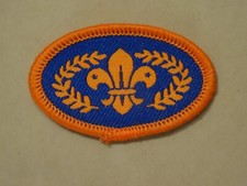 Chief Scout Bronze Award Badge