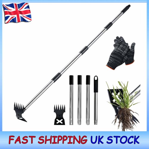 Stainless steel weed - stainless,