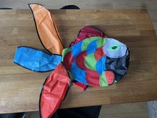 Emma Kites Cute Rainbow Fish