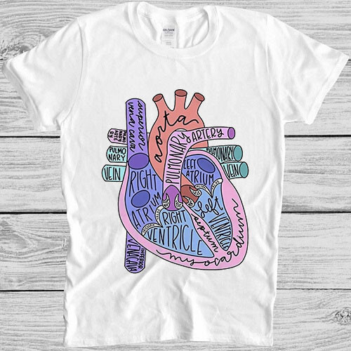 Anatomy heart healthy life - of,
