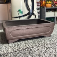 High Quality Rectangle Bonsai