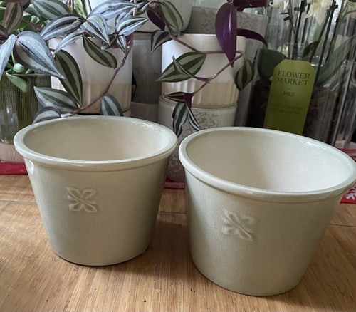 Set two flowers - flowers, pots