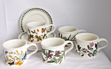 Portmeirion Botanic Garden