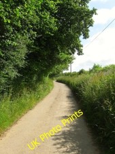 Photo 6x4 Drive to Newhouse Farm Balcombe Lane Linking the farm to Paddoc c2015