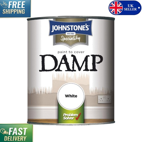 Water based damp proof paint - damp,
