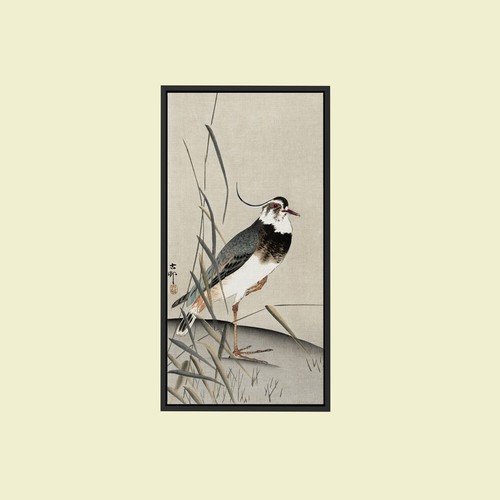 Ohara koson lapwing - koson, reed