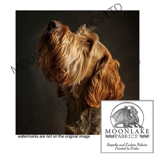 Otterhound look left - otterhound,