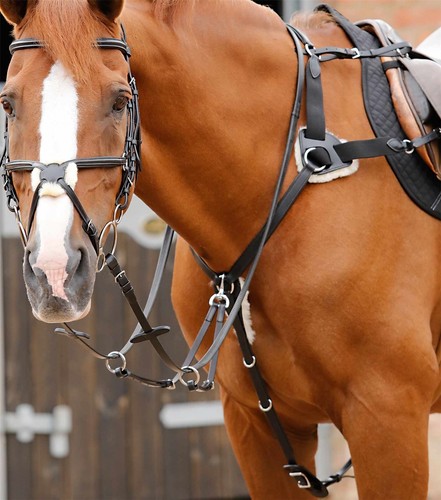 Premier equine invorio point - equine,