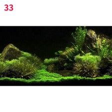3D Forest Fish Tank Background