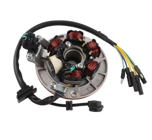 Stator magneto pole - stator, 6