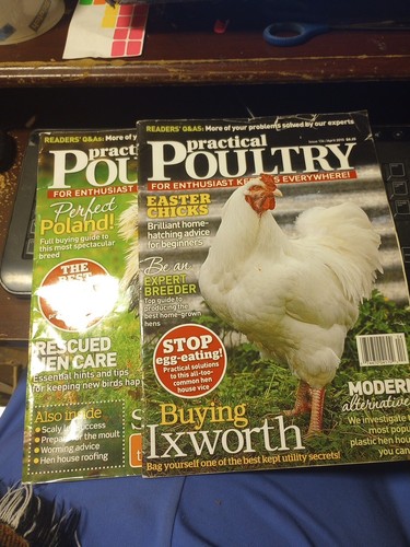 Lot practical poultry - 2,