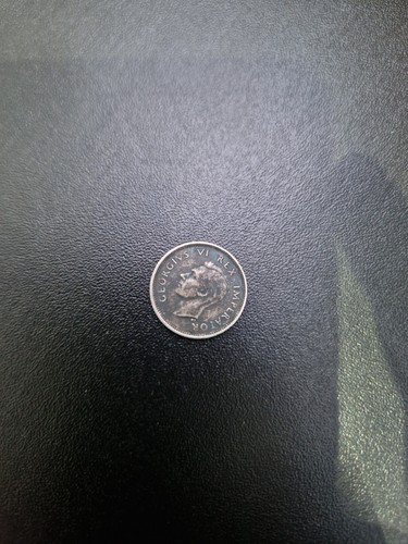 South african silver - african,